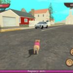 Cat Games Free Online Play