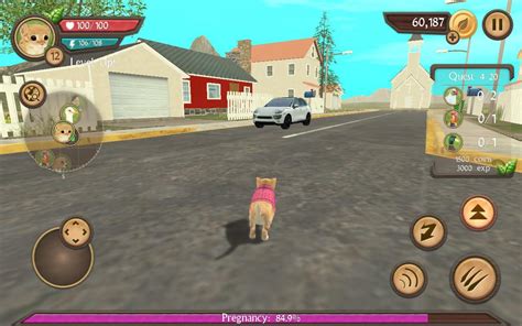 Cat Games Free Online Play