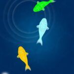 Fish Game App For Cats