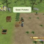 Harvest Moon 2007 Video Game Series
