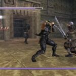 Ninja Gaiden 2004 Video Game