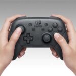 Epic Games Switch Pro Controller
