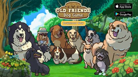 Old Friends Senior Dog Sanctuary Game