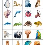 Animal Matching Game Printable Free