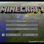Minecraft Connecting To Multiplayer Game