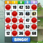 Absolute Bingo- Free Bingo Games Offline Or Online