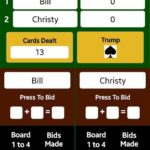 Back Alley Card Game App