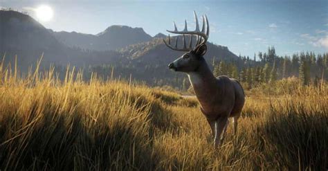 Best Hunting Games For Ps4