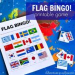 Flag Of The World Game