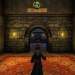 Harry Potter Chamber Of Secrets Video Game