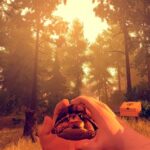 Is Firewatch A Horror Game