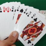 How To Play The Card Game Rummy
