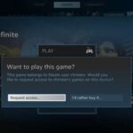 Steam How To Family Share Games