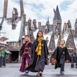 Wizarding World Of Harry Potter Game