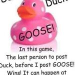 Duck Duck Goose Game Online