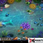 Free Fish Table Games Online