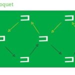 How To Play Croquet Game