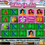 White Orchid Free Slot Games