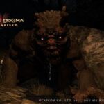Dragon's Dogma New Game Plus