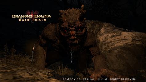 Dragon's Dogma New Game Plus