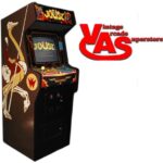 Joust Arcade Game For Sale