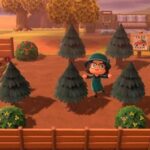 Animal Crossing New Horizons Early Game