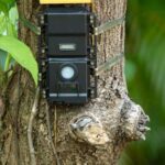 Best Game Cameras For The Money
