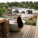 Best Game Reserves In South Africa