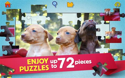 Old Friends Dog Game Coupon Codes
