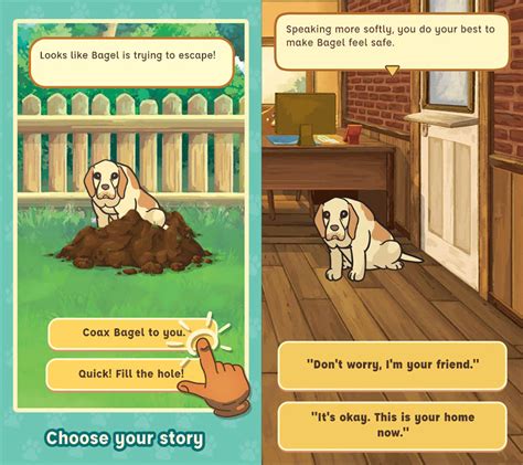 Old Friends Dog Sanctuary Game